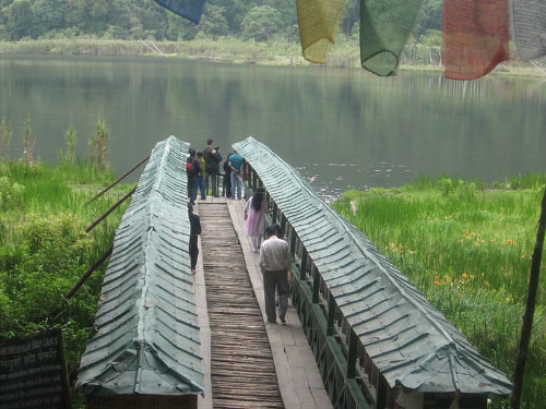 Pelling
