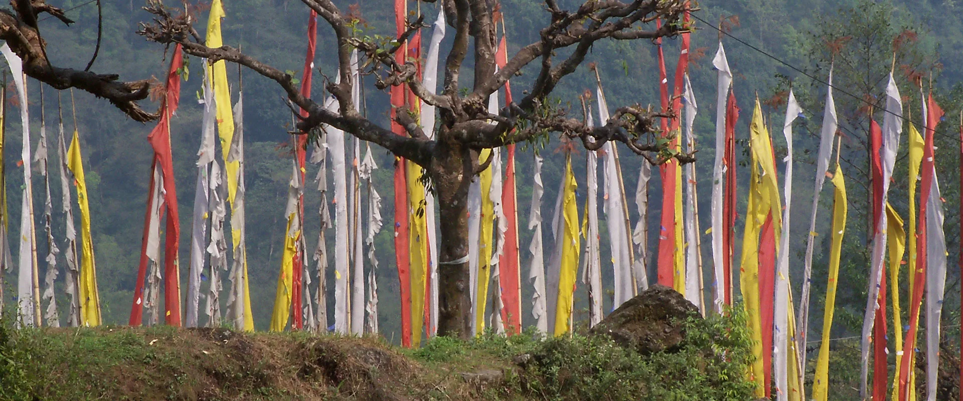 Kalimpong Gangtok B2B Tour Package